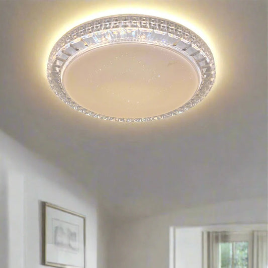 LED Ceiling Light – CE013