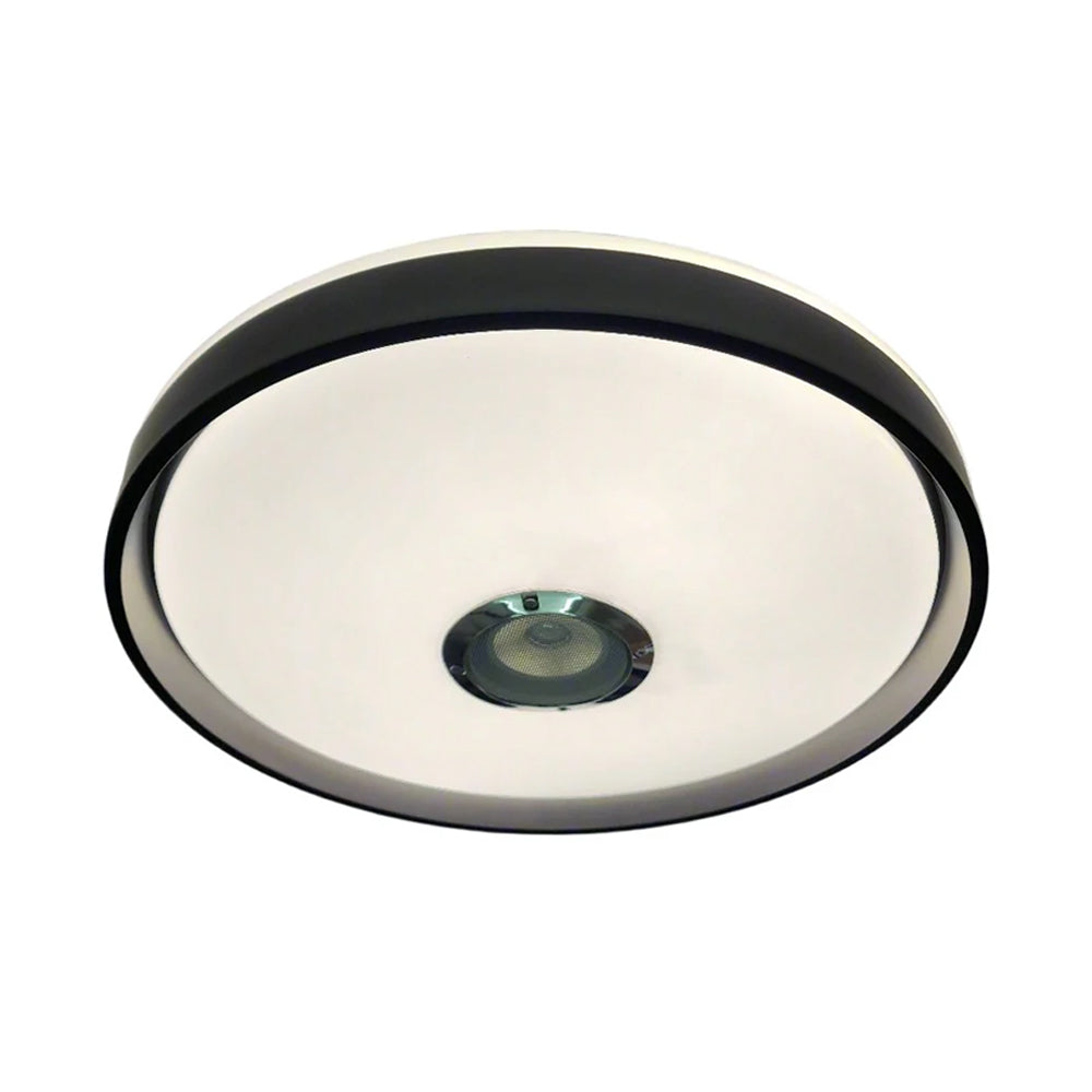 Bluetooth Speaker Ceiling Light – 2-in-1 Music & Lighting