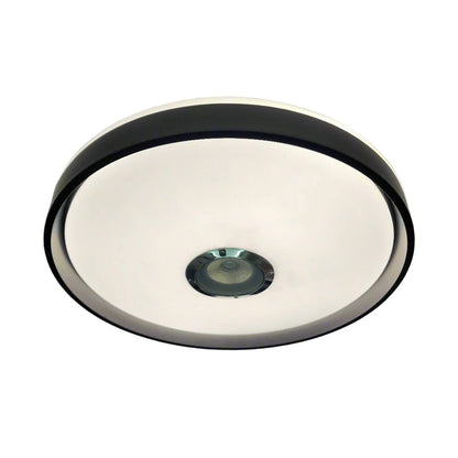 Bluetooth Speaker Ceiling Light – 2-in-1 Music & Lighting