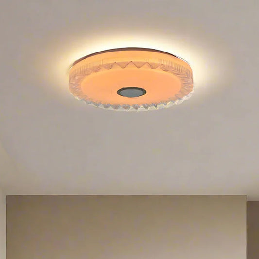 LED Ceiling Light with Bluetooth Speaker – CE009 | Music & Light in One