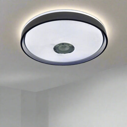 Bluetooth Speaker Ceiling Light – 2-in-1 Music & Lighting