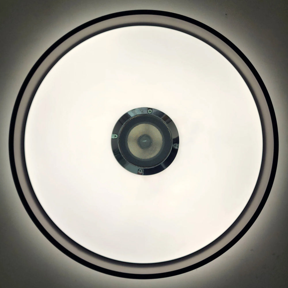 Bluetooth Speaker Ceiling Light – 2-in-1 Music & Lighting