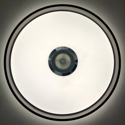 Bluetooth Speaker Ceiling Light – 2-in-1 Music & Lighting