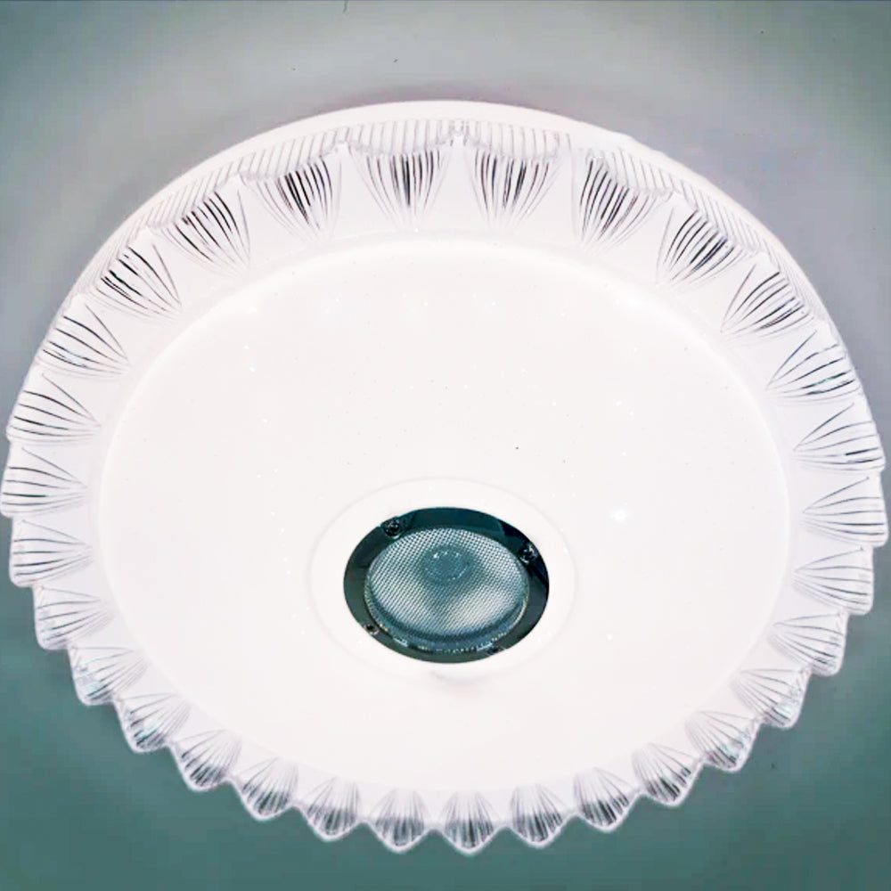 LED Ceiling Light with Bluetooth Speaker – CE009 | Music & Light in One