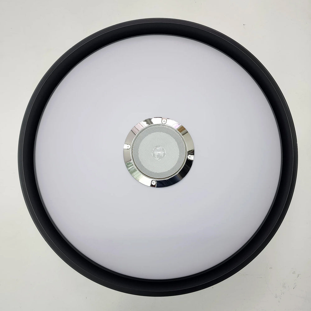 Bluetooth Speaker Ceiling Light – 2-in-1 Music & Lighting