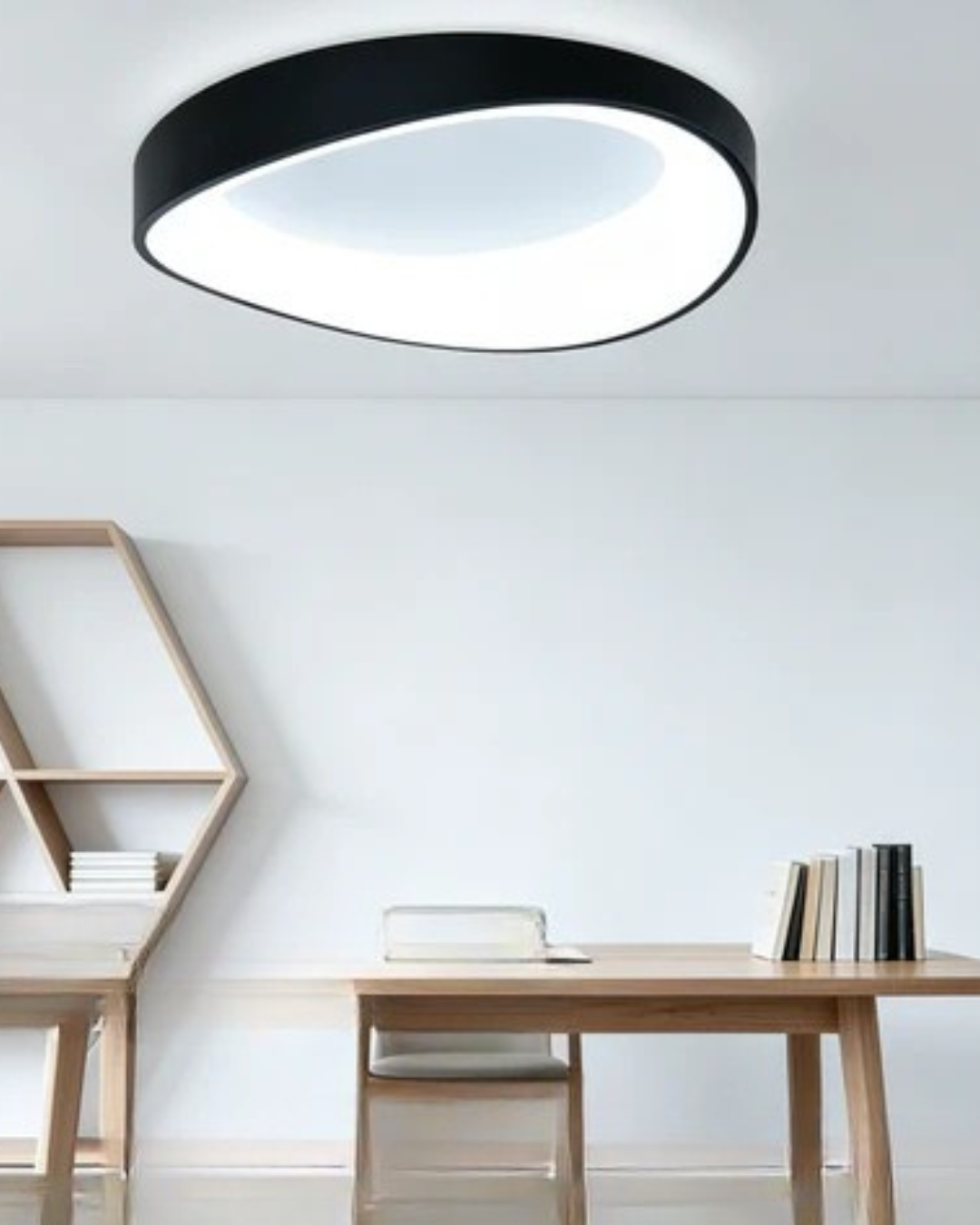 Modern Flush Mount Ceiling Light
