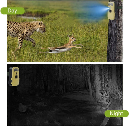 Solar Powered Wifi Hunting Camera